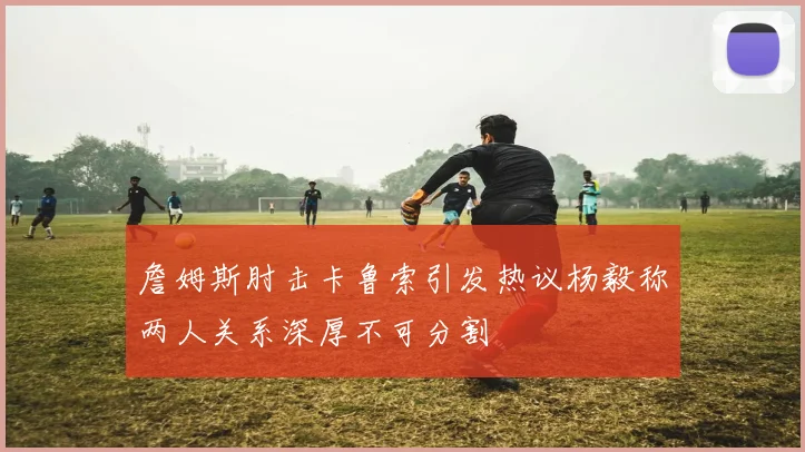 詹姆斯肘击卡鲁索引发热议杨毅称两人关系深厚不可分割