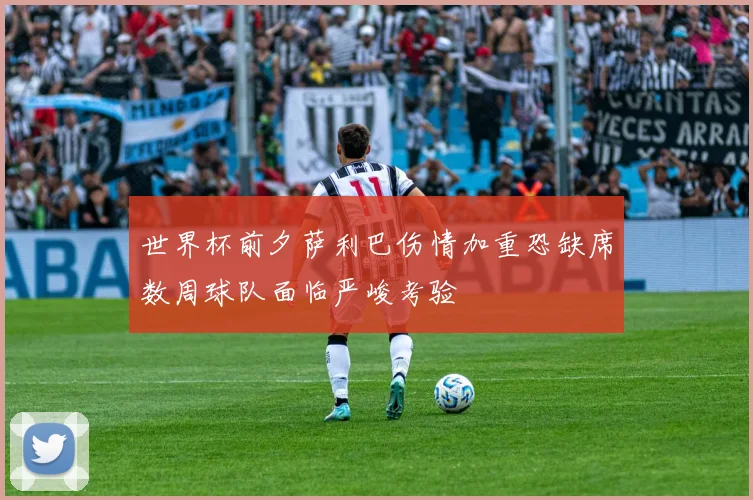 世界杯前夕萨利巴伤情加重恐缺席数周球队面临严峻考验